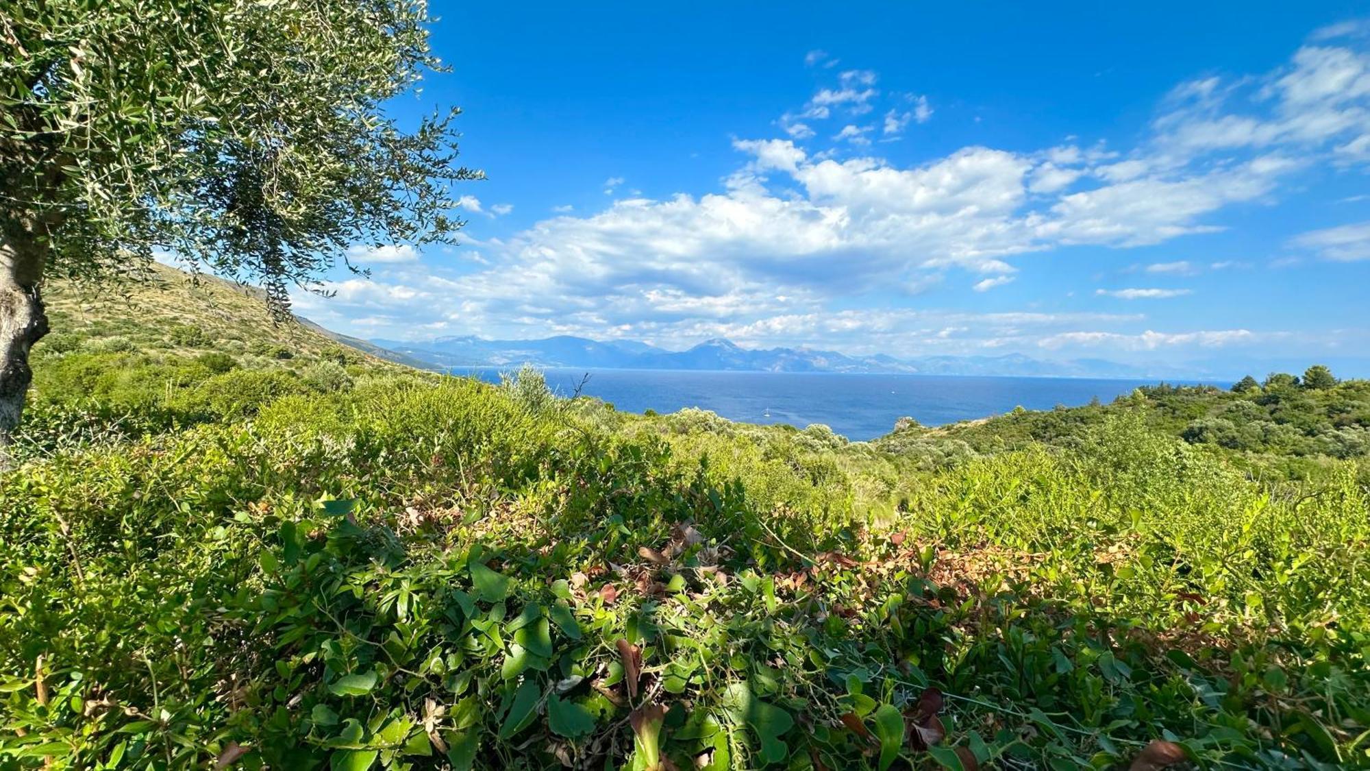 La Casa Di Paolo Casa Di Charme Hotell Marina di Camerota Eksteriør bilde