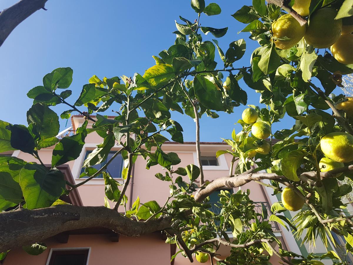 La Casa Di Paolo Casa Di Charme Hotell Marina di Camerota Eksteriør bilde